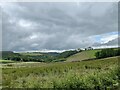 Carmarthenshire countryside