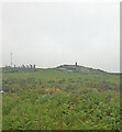 View towards Carnmenellis Trig Point