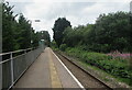 Through Ewenny Road station, Maesteg