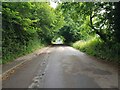 Chawton: Winchester Road (former A31)