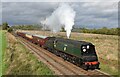 GCR train at Woodthorpe