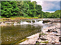 SE0188 : River Ure, Aysgarth Lower Falls by David Dixon