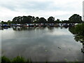 Part of the marina on the Prees branch of the Ellesmere Canal