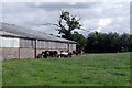 SJ5328 : Cattle at Aston Hall by Stephen McKay
