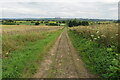 Footpath and track down to Meadhook Farm