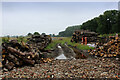 Piles of Cut Logs beside Red House Lane