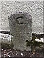 County Bridge Marker south of Staverton Bridge, Dartington parish