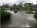 TQ5259 : The duck pond at Otford by Marathon