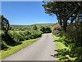 The lane to Chytodden