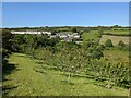 Looking across the orchard to Nancledra