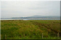 SD2181 : Coastal grassland near Soutergate by JThomas