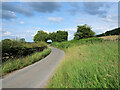 Braithwaite Lane towards East Witton