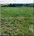 Field mown for fodder