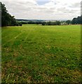 Silage has been lifted