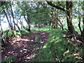 Llwybr ger Llwyn-y-neuadd / Path near Llwyn-y-neuadd