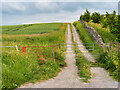 Moorland Track near Bellerby