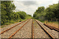 Overgrown tracks