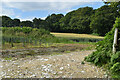 Field beside Swell Hill Wood