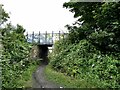 NZ2859 : Bridge on the Bowes Railway path by Oliver Dixon