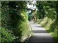 Cyclist on Bowes Railway Path