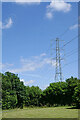 Park and pylon by Lower Green, Coven, Staffordshire