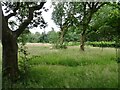 SJ8601 : Natural Burial Ground by Gordon Griffiths