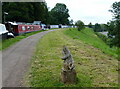 Towpath along the Shropshire Union Canal in Nantwich