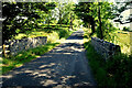 Bridge along Tirquin Road