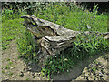 S5532 : Tree Stump by kevin higgins