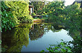 Pond, Hill House Farm