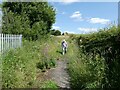 Western end of Stanley 60 footpath