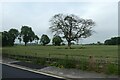 Field near the railway