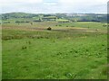 SN7368 : Upland farmland near Ffair-Rhos by Philip Halling