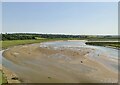 Mudflats, estuary of River Loughor