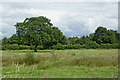 SJ9825 : Staffordshire farmland near Weston by Roger  D Kidd