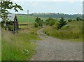 Farm track to Glenhead