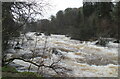 River Braan in spate at Rumbling Bridge