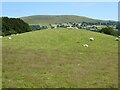 View to Bryn Rhudd