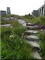 NL9446 : Tiree - Steps up to old military building, Beinn Hough by Rob Farrow