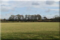 TQ4143 : Farmland near Dormansland by N Chadwick