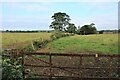 Boundary fence and drain opposite Muirhead House