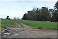 Farmland by Sponden Lane