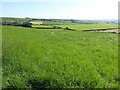 Farmland near Blaencwrt