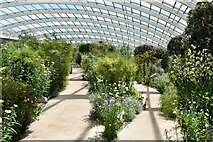 SN5218 : National Botanic Garden of Wales: Greenhouse by Michael Garlick