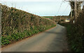 Weston Lane, Totnes