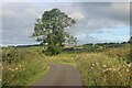 Minor road near Auchenskeith