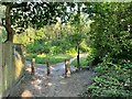 Footpath entering Hawley Common