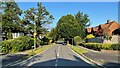 Looking down Leopold Avenue