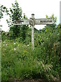TL8740 : Signpost on Rectory Road by Geographer