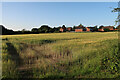 Field by Church Lane